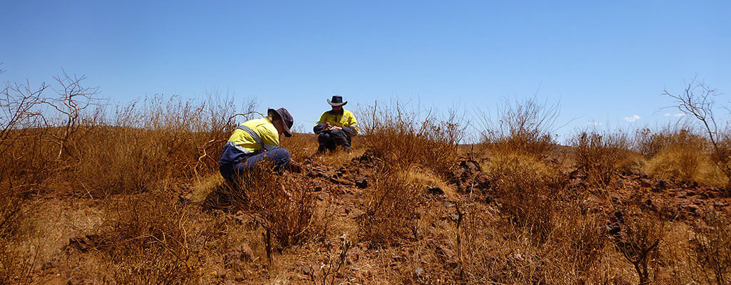 Site Avoidance & Work/Program Area Clearance